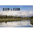 thumbnail image 2 of Deiter, Lori 32x23 Black Ornate Wood Framed with Double Matting Museum Art Print Titled - Born to Roam, 2 of 4