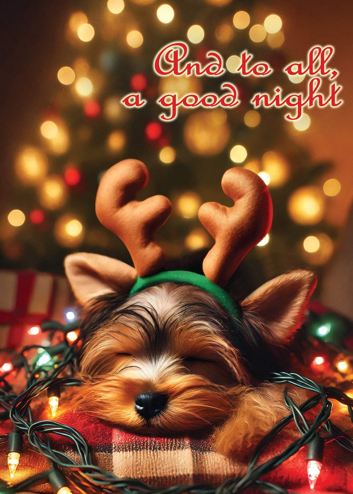 Glory To Dog And to All A Good Night Variety II (2025) Christmas Card Boxed Set of 12 Seasonal Greeting Cards (3 Each of 4 Sleepy Puppy Dog Designs) and Mailing Envelopes