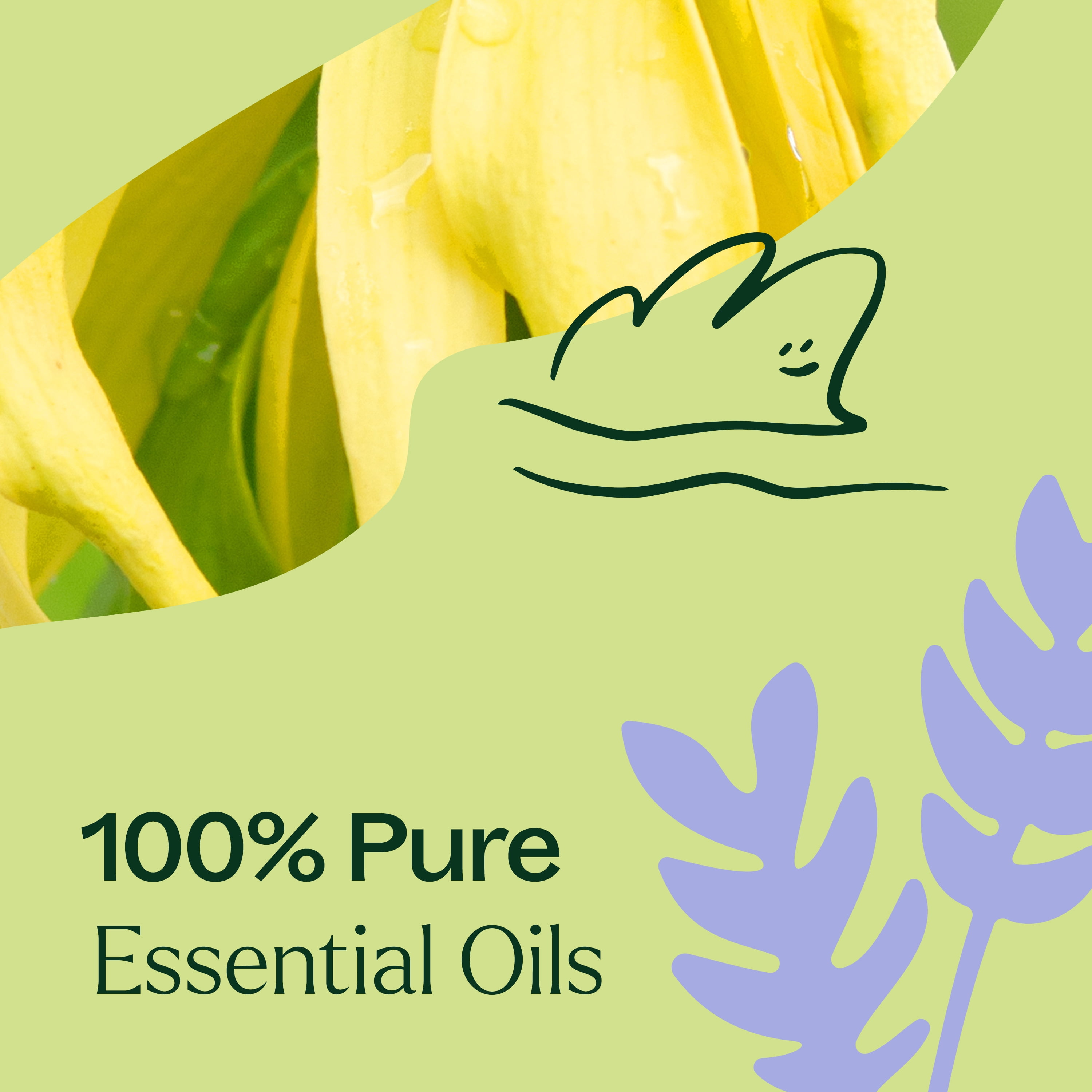 Plant Therapy Sleep Aid Essential Oil Blend 10 mL (1/3 oz) Calming & Sleep Blend 100% Pure, Undiluted, Natural Aromatherapy