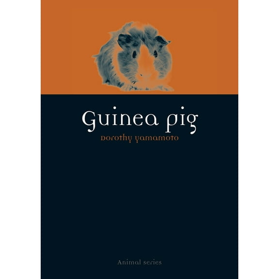 Animal: Guinea Pig (Paperback)