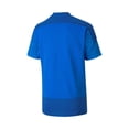thumbnail image 2 of Puma Boys Goal 23 Jr Training Soccer Jersey blulemonade M, 2 of 2