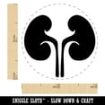thumbnail image 2 of Kidneys Organs Anatomy Body Part Self-Inking Rubber Stamp Ink Stamper - Black Ink - Mini 1/2 Inch, 2 of 7