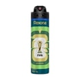 thumbnail image 1 of Antitranspirante Rexona active dry en aerosol para caballero 150 ml, 1 of 6