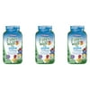 Vitafusion FiberWell Fit Gummies, Peach, Strawberry & Berry, 90 Each (Pack of 3)