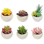 Mainstays Assorted 4" Artificial Succulent Plants in Cement Pots