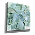 thumbnail image 2 of Epic Graffiti 'Verdant Succulent III' by Victoria Borges, Canvas Wall Art, 12"x12", 2 of 2