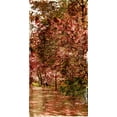 thumbnail image 2 of Grey, Jace 18x32 Gold Ornate Wood Framed with Double Matting Museum Art Print Titled - Ny Fall Trees Mate, 2 of 4