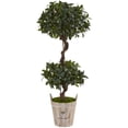 thumbnail image 1 of 4.5 ft. Sweet Bay Double Topiary Tree in Farmhouse Planter, 1 of 1