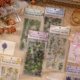 thumbnail image 1 of Bolsa de pegatinas para libros de la serie Nature, de PVC, con diseño de plantas y flores, material retro, papel, pegatinas para libros de niños, 1 of 5