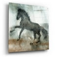 thumbnail image 2 of Epic Art 'Wild Horse 2' by Irena Orlov, Acrylic Glass Wall Art, 36"x36", 2 of 8