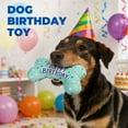 thumbnail image 5 of Prime Pets Dog Birthday Toys, Plush Dog Squeaky Toys, Dog Chew Toys Bone for Small Medium Large Dogs, 5 of 8