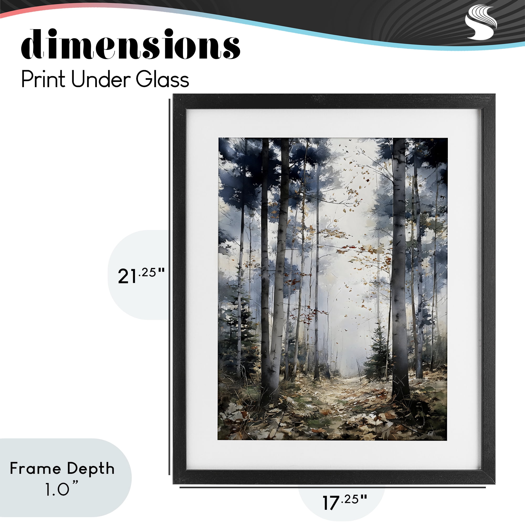 Stupell Industries Cold Woods Birch Forest Black Framed Print Under Glass, design by Franklyn Gregory