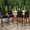 Gray Black, variant on Outdoor Wicker Barstools Set of 4,Rattan Patio Bar Stools for Backyard, Brown+beige/dark gray/blue