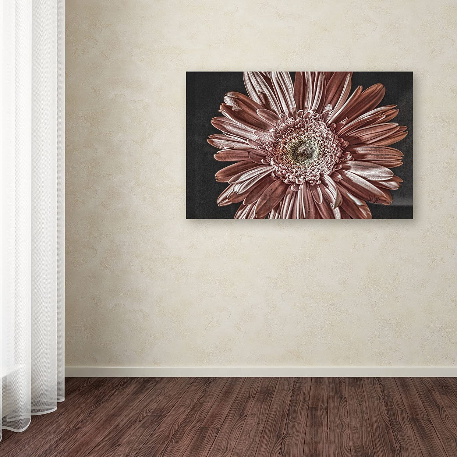 Trademark Fine Art "Silvery Pink" Canvas Art by Lois Bryan