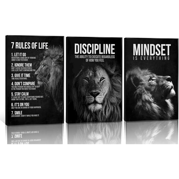 3 Pcs Framed Lion Inspirational Quotes Canvas Wall Art 7 Rules of Life Poster Wall Decor Pictures Office inspiration Poster Prints for Home Office gym study workplace Decoration 16x24 in