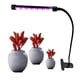 thumbnail image 1 of Clip USB para crecimiento de plantas, temporización de atenuación, lámpara solar de imitación de luz suplementaria para plantar en interiores de espectro completo Adepaton CPB-US-DYP07-1, 1 of 5