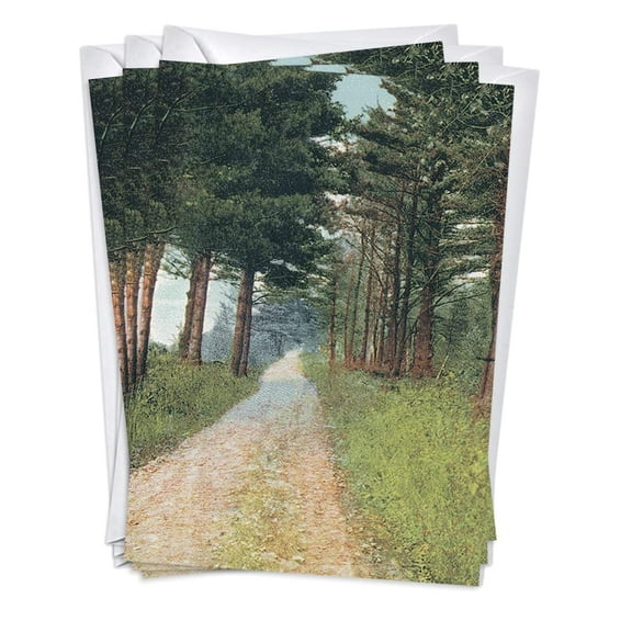 Wooded Path Funeral Sympathy Condolence Greeting Cards | 3 Pack Set (5x7)