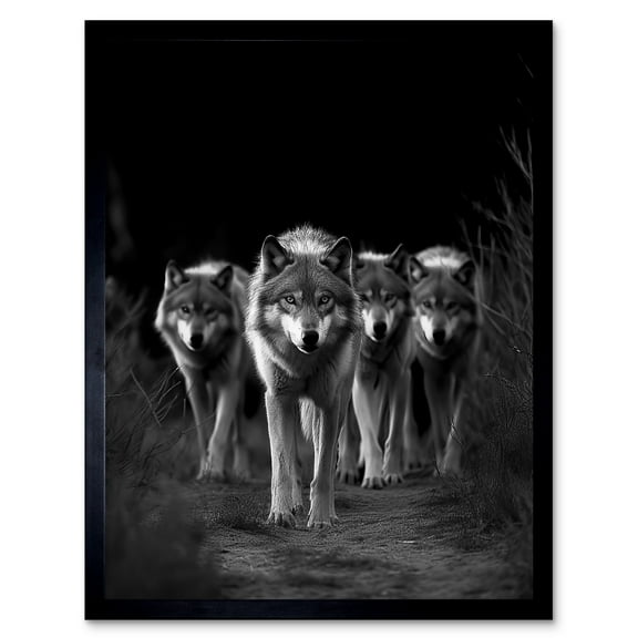 A Pack of Wolves Wild Animal Black and White Photo Art Print Framed Poster Wall Decor 12x16 inch