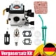 thumbnail image 1 of Carburador STIHL para FS38 FS45 FS46 FS55 FS74 FS75 FS80 FS85 HL45 HL75 HS70 HS74, 1 of 5