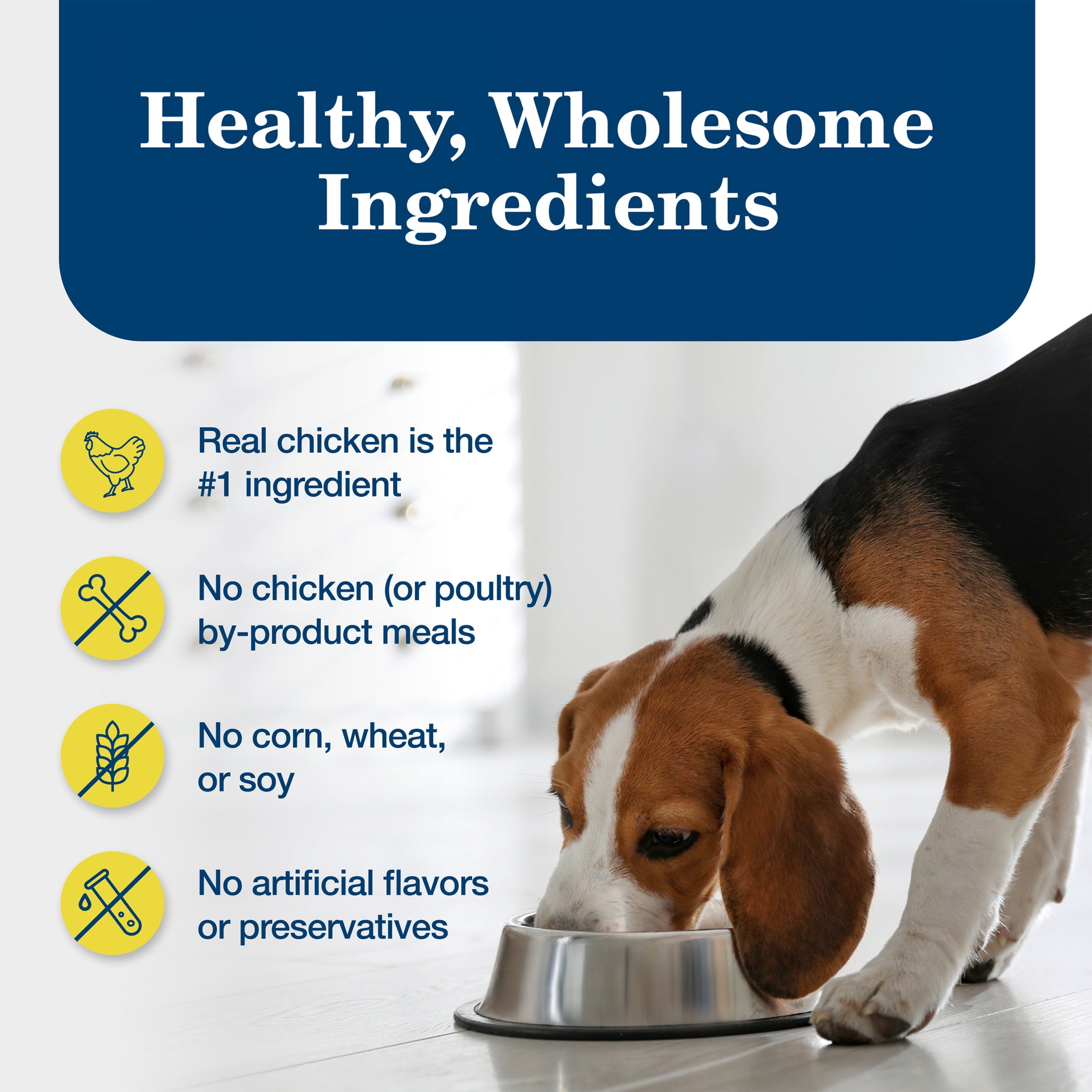 Blue Buffalo Homestyle Recipe Healthy Weight Adult Wet Dog Food, Beef Dinner, 12.5-oz. Can (Pack of 12)