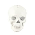 thumbnail image 3 of Skull Windmill Skull Gyratory Windmill Wind Spinner Front Yard Decor, 3 of 6