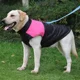 thumbnail image 5 of Abrigos Para Perros Con Bloques De Color, A Prueba De Viento, 5 of 8