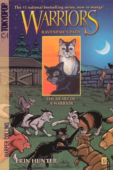 heart of the sun warrior hardcover heart of the sun warrior hardcover