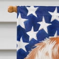 thumbnail image 3 of Carolines Treasures CK6575CHF Istrian Shorthaired Hound American Canvas House Size Outdoor-Flags, Multicolor, 3 of 4