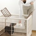 Richell Pet Training Kennel