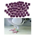 thumbnail image 4 of kurtrusly 100Pcs 2022 Aluminium Dove Racing Pigeon Foot Rings Bands 8mm Purple, 4 of 8