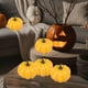 thumbnail image 5 of Decoraciones de Halloween, adornos de Halloween, regalos de Halloween, calabazas de Acción de Gracias, calabazas simuladas de Halloween, accesorios para fotos navideñas para el jardín de casa, decorac, 5 of 6