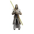 thumbnail image 1 of Figura de acción STAR WARS Black Series Jedi Temple Guard 15 cm, 1 of 7