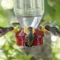 thumbnail image 5 of Farol Perky-Pet 201 para comederos para colibríes, 530 ml, color rojo, 5 of 5