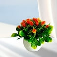 thumbnail image 3 of Artificial Plants Simulated Plant Potted Fake Flowerpot, Table Centerpiece for Dining Room, Kitchen & Office Decor, Realistic Fake Plant Display E, 3 of 4