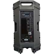 MR DJ PLED5200 PRO PA DJ 15 Portable Active Bluetooth/MP3/FM Radio Speaker