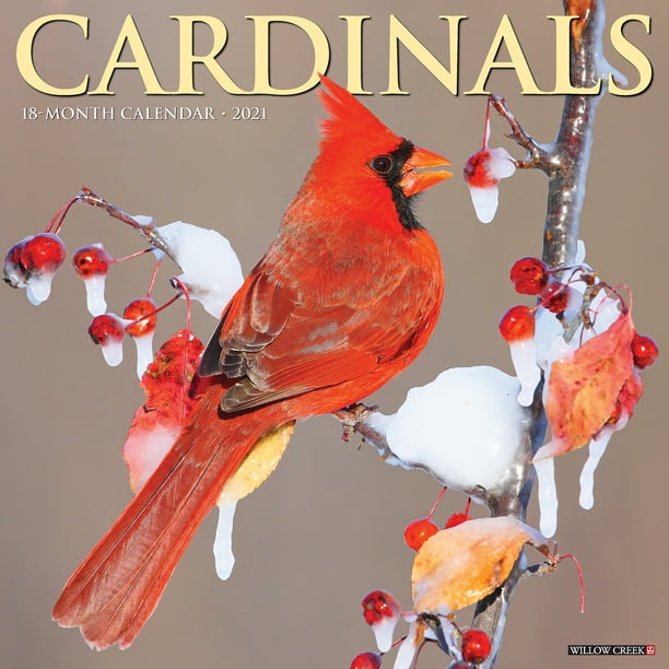 Willow Creek Press 2021 Cardinals Wall Calendar