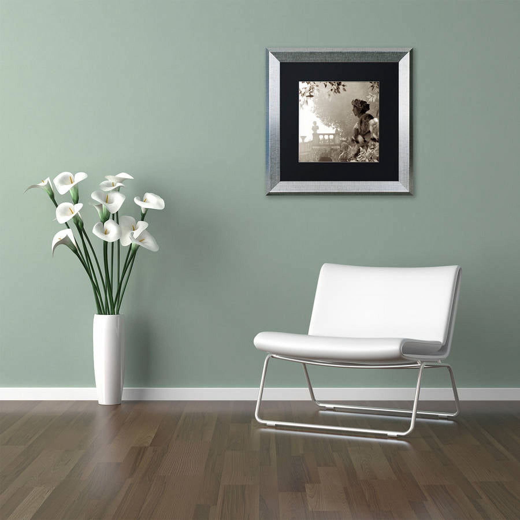 Trademark Fine Art "Tuscany VIII" Canvas Art by Alan Blaustein, Black Matte, Silver Frame