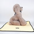 thumbnail image 1 of LSLJS Pet Towel Super Absorbent Quick-Drying Machine Washable Bag Cleaning Dog Towel, Pet Supplies, 1 of 2