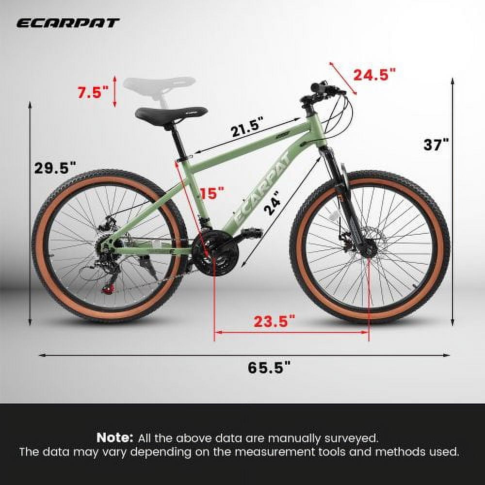 RAISTYW 24 Inch Mountain Bike for Men, 21 Speeds High-Carbon Steel Frame, Disc Brakes Front Fork Bicycles ,Green