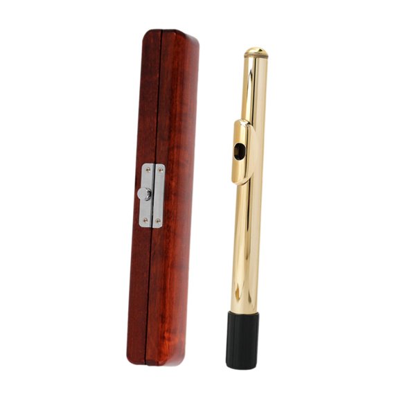 colcolo Flute Head Storage Box Anti Scratches Lightweight Flute Headjoint Carry Case A