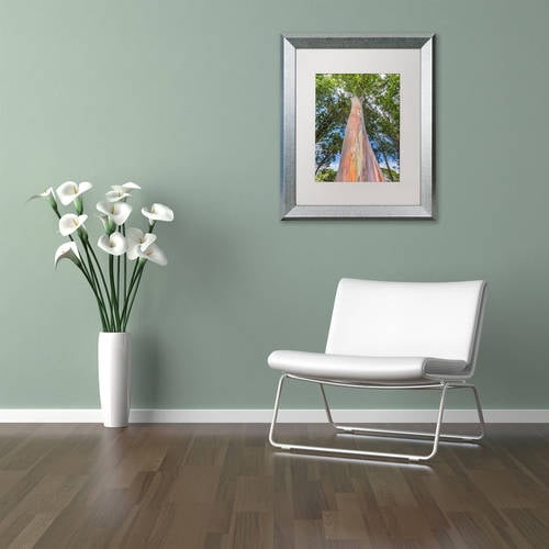 Trademark Fine Art 'Rainbow Tree' Canvas Art by Pierre Leclerc, White Matte, Silver Frame