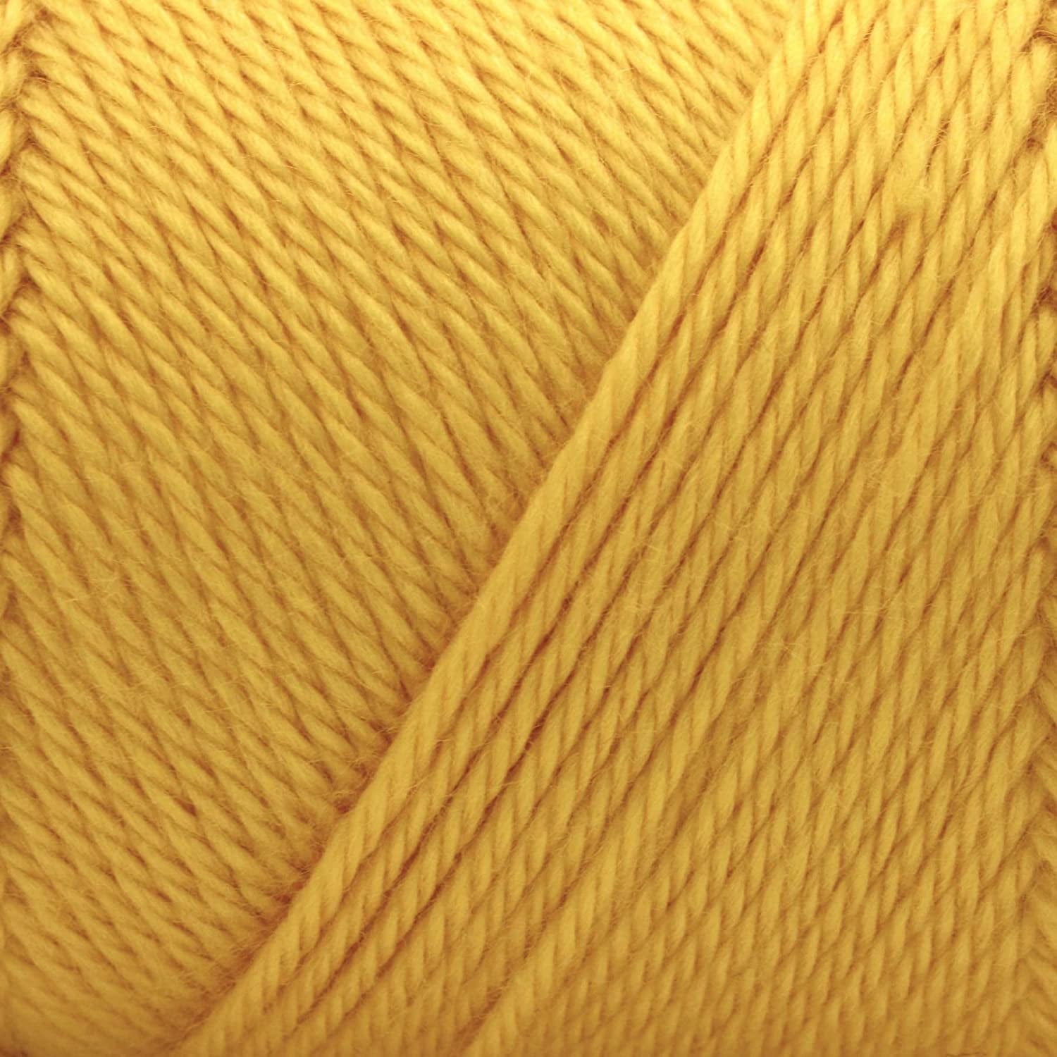 Caron Simply Soft Sunshine Yarn - 3 Pack of 170g/6oz - Acrylic - 4 Medium (Worsted) - 315 Yards - Knitting/Crochet