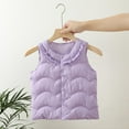 thumbnail image 2 of Annhoo Toddler Boys Girls Puffer Vest Sleeveless Button down Quilted Jackets Winter Comfy Warm Fleece Waistcoat, 2 of 3
