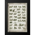 thumbnail image 2 of Babbitt, Gwendolyn 17x24 Black Modern Framed Museum Art Print Titled - French Cow Chart, 2 of 5