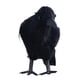 thumbnail image 5 of Halloween realista DIY pájaros manualidades negro cuervo juguete realista para jardín balcón, 5 of 9