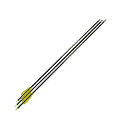 SAS Fiberglass Target Practice Arrows (1 Dozen) - 30in