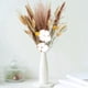 thumbnail image 5 of Hierba seca, ramo de flores de caña, decoración de bohemio para en hogar, accesorios de fotografía, arreglo floral, 5 of 7