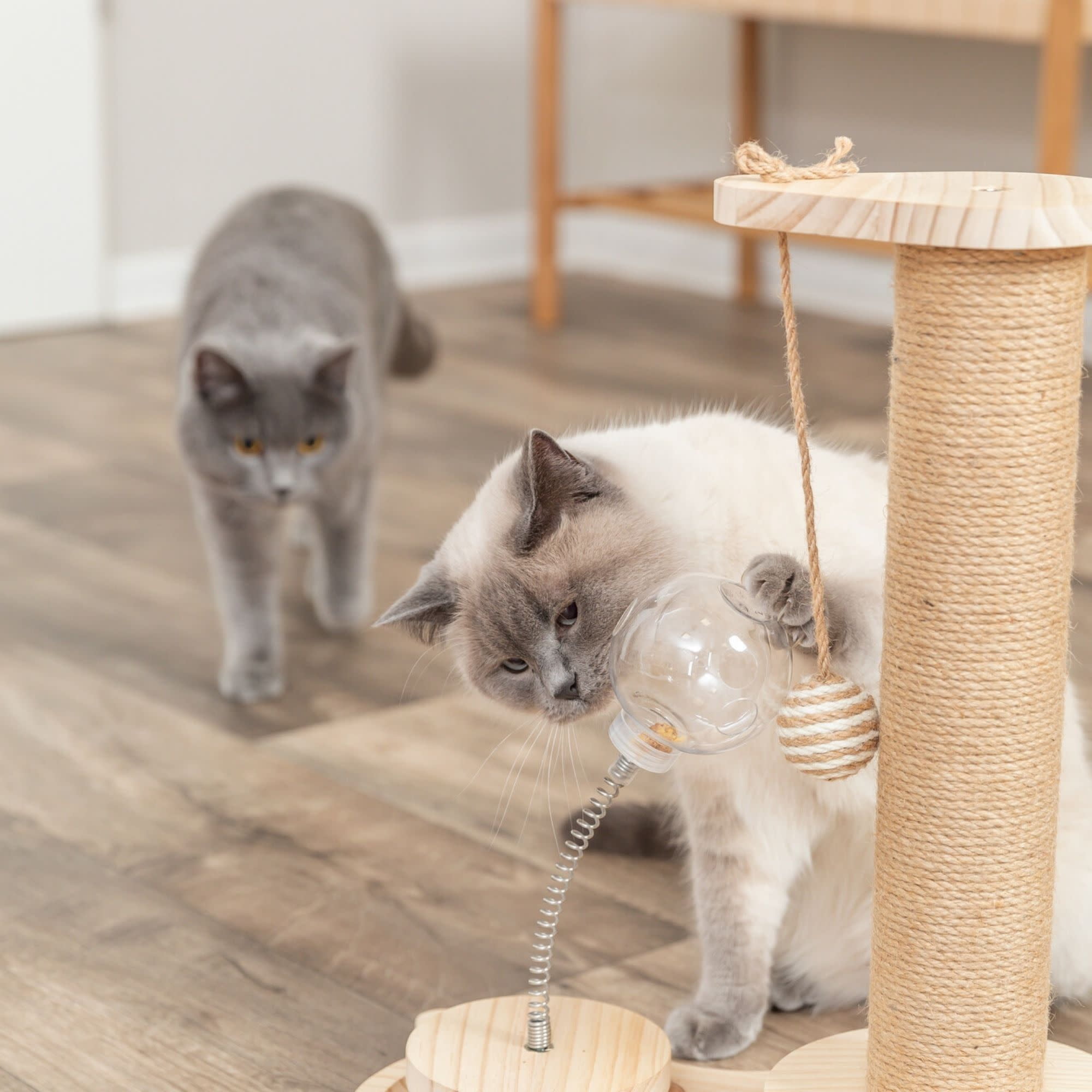 TRIXIE Oliver Interactive Cat Scratching Post w/ Treat Cup, Wooden Track & Hanging Ball