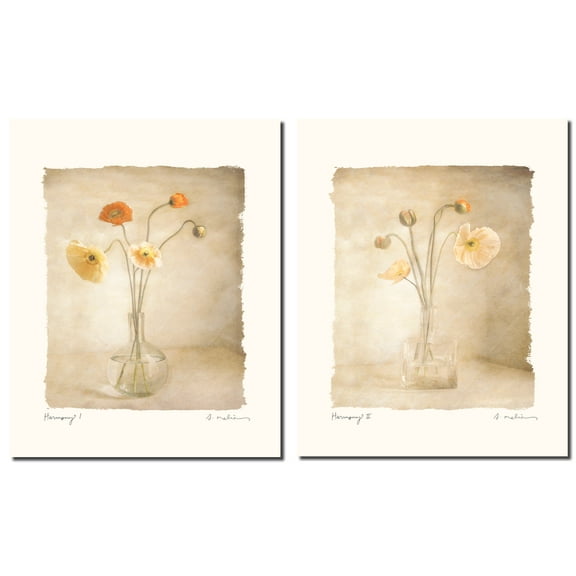 Harmony I Lovely, Vintage Coloful Flowers in a Crystal Vase; Two 11X14 Poster Prints