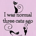 thumbnail image 3 of CafePress - Three Cats Ago Humorous Women'S Nightshirt - Women's Nightshirt, 3 of 4